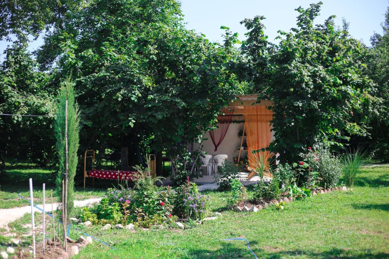 Novel House Daire Martvili Dış mekan fotoğraf