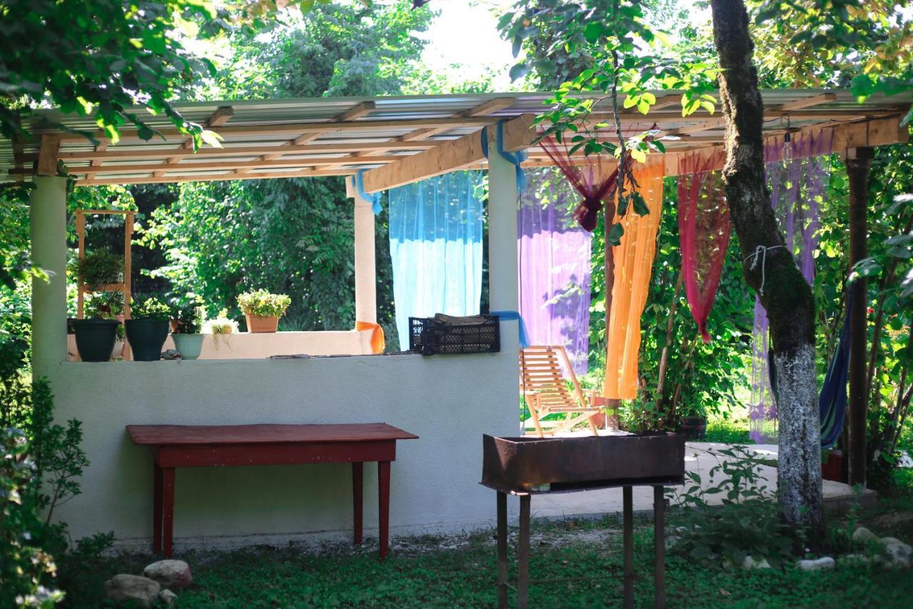 Novel House Daire Martvili Dış mekan fotoğraf