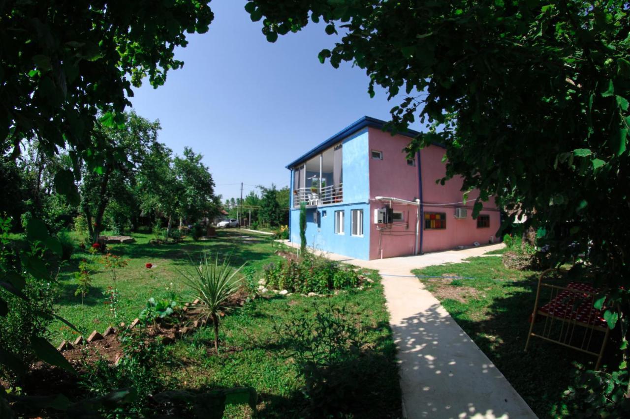 Novel House Daire Martvili Dış mekan fotoğraf